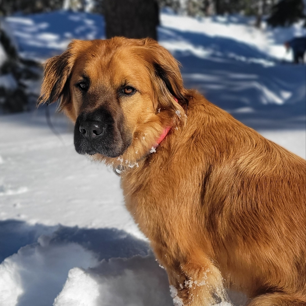 Meet your Posher, Carolyn